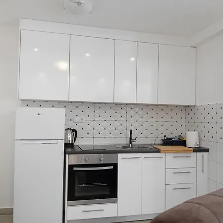 Lazar 트레빈예
